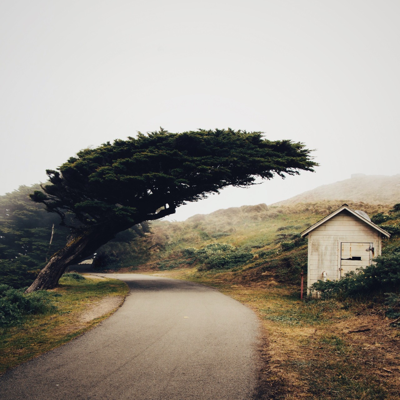 Archillect ID 394136