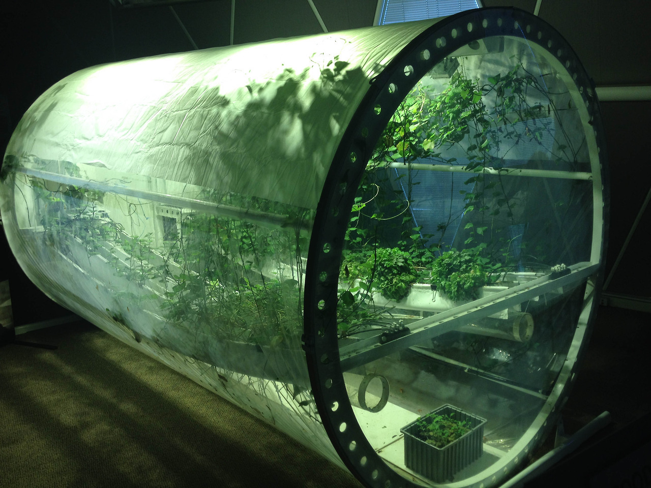 Archillect ID 394210