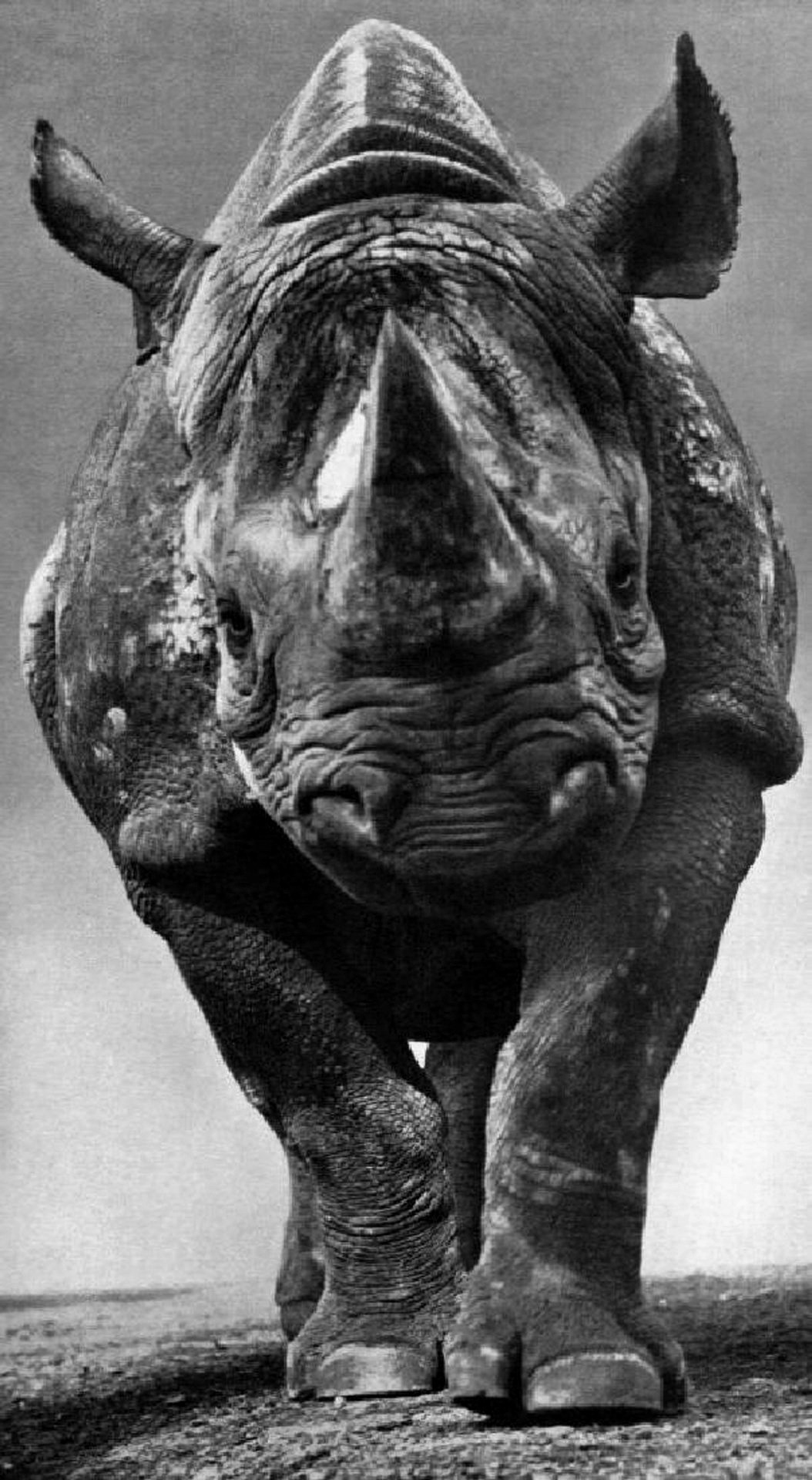 Archillect ID 394233