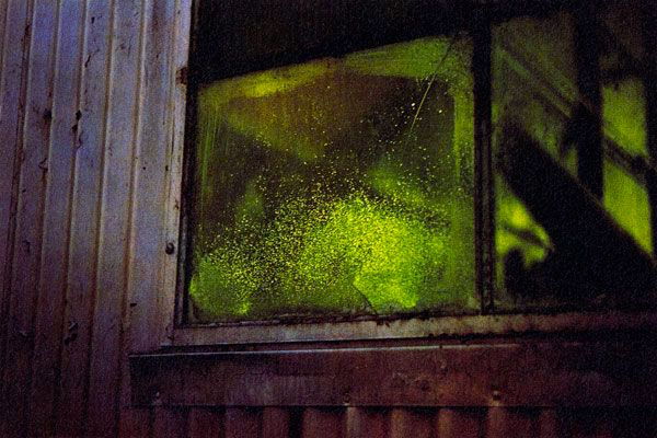 Archillect ID 394291