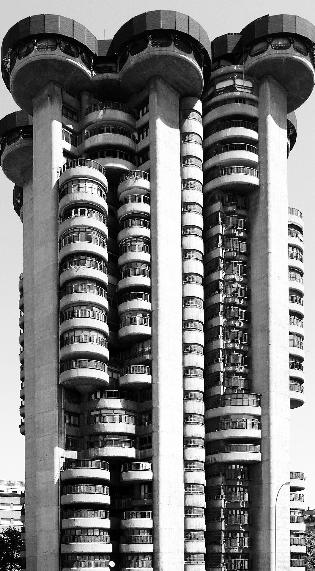 Archillect ID 394310