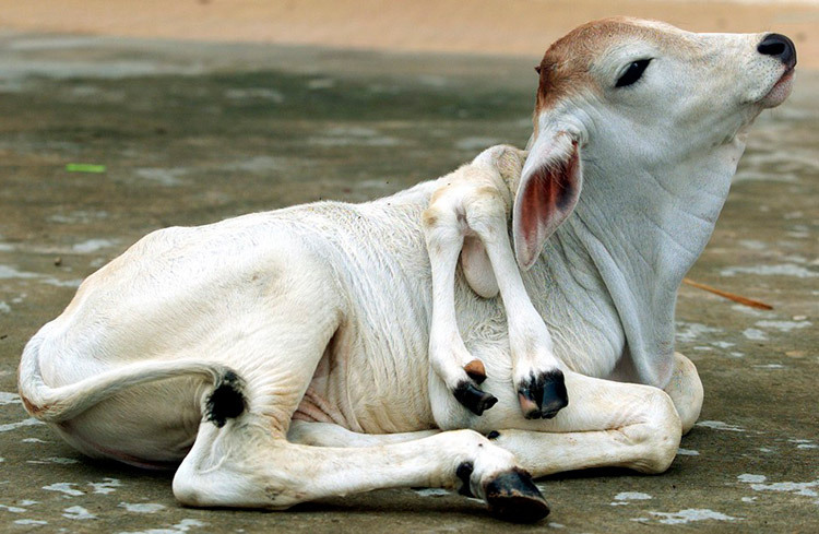 Archillect ID 394320