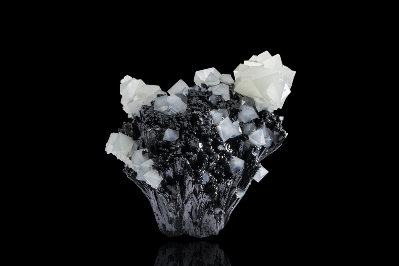 Archillect ID 394339