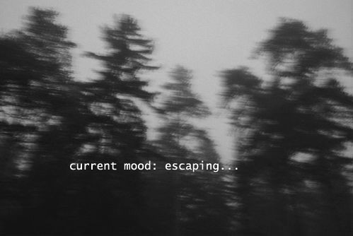 Archillect ID 394367