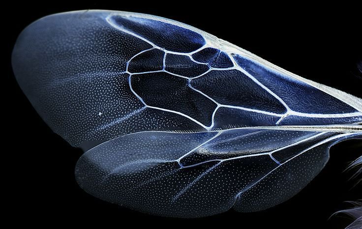 Archillect ID 394376