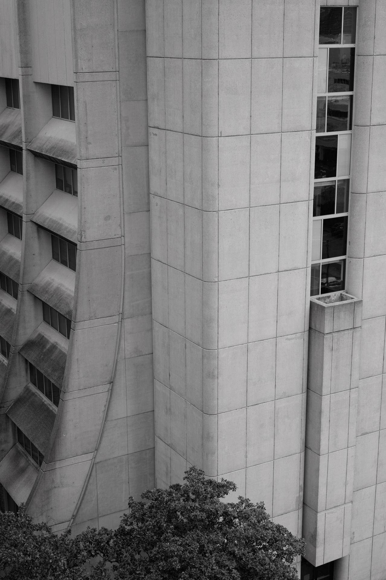 Archillect ID 394386