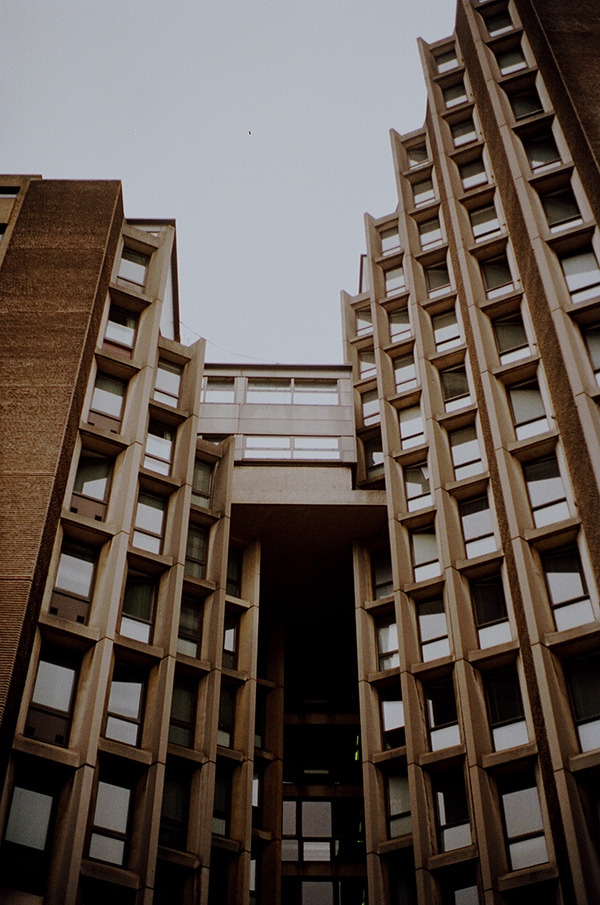 Archillect ID 394390