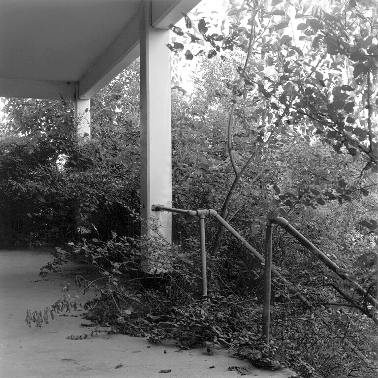 Archillect ID 394405