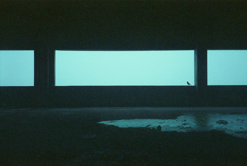 Archillect ID 394421