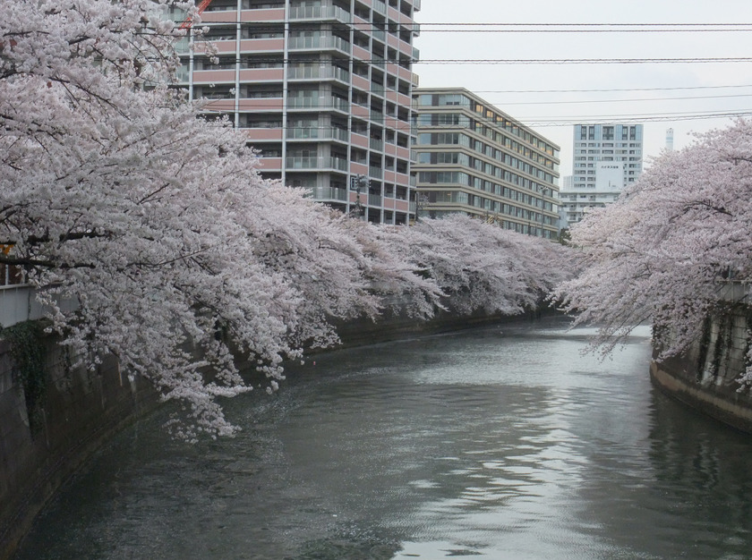 Archillect ID 394434