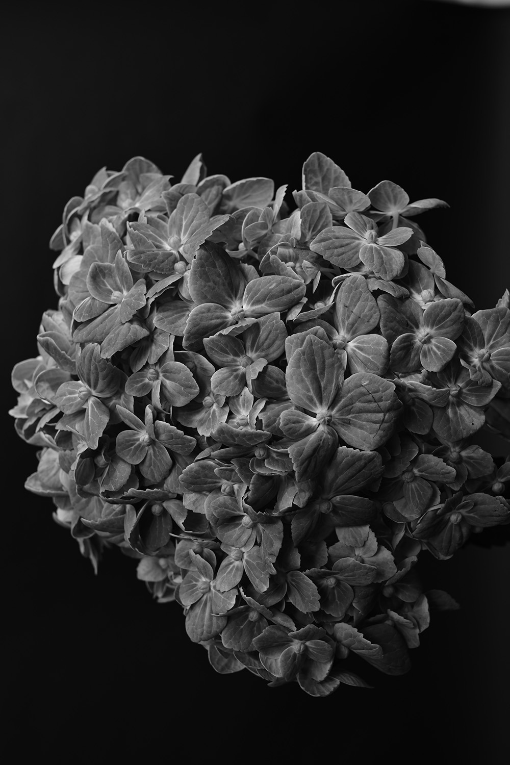 Archillect ID 394437