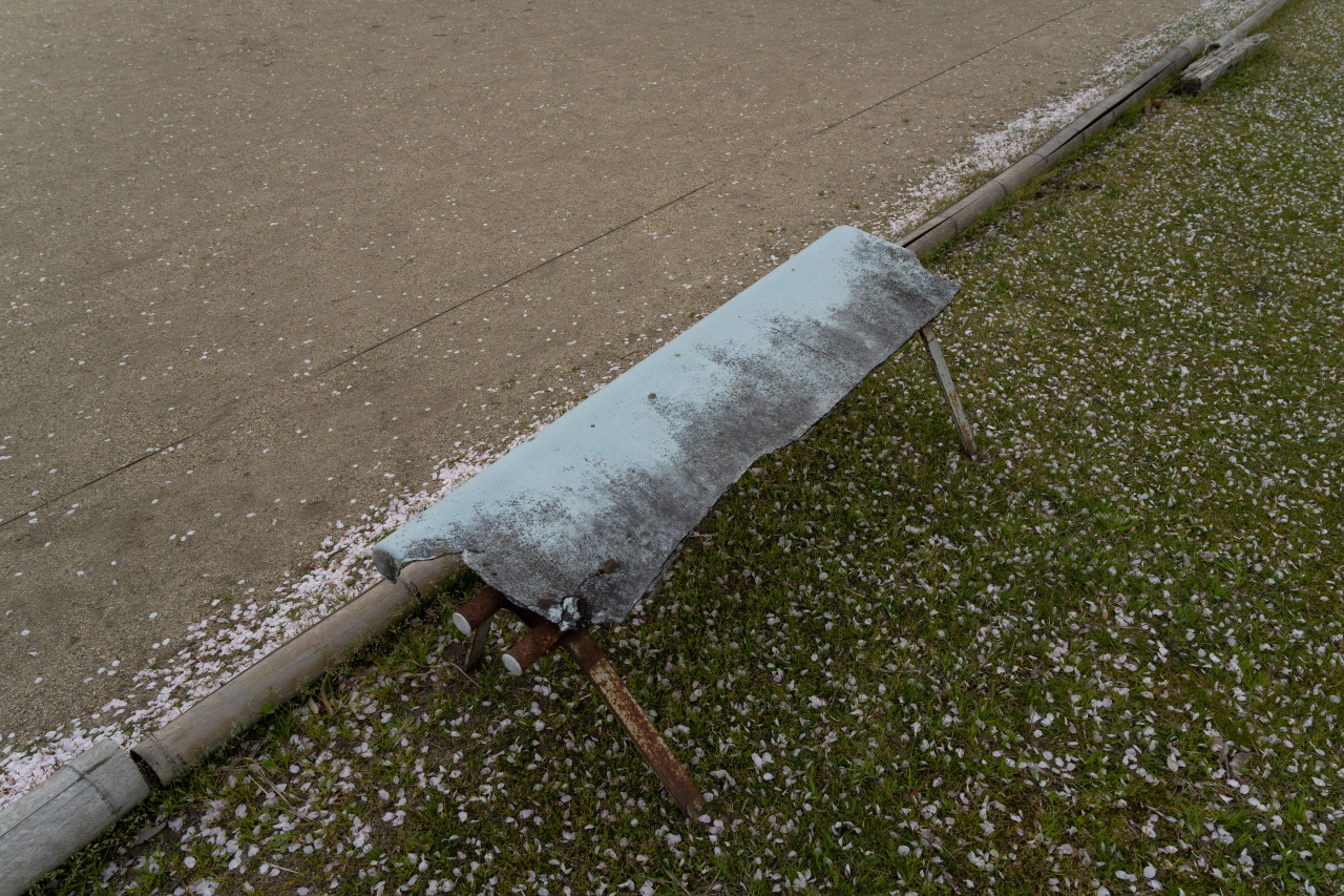 Archillect ID 394440