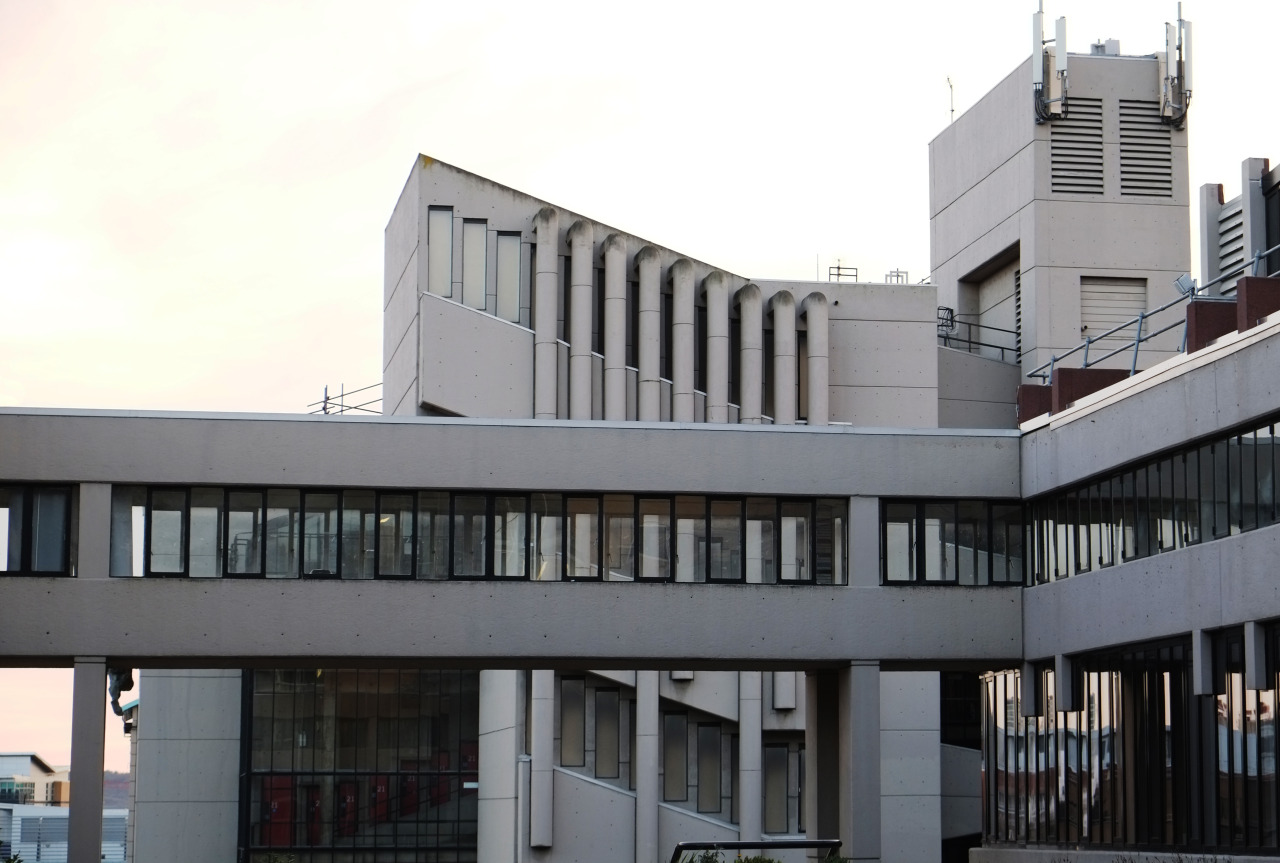 Archillect ID 394482