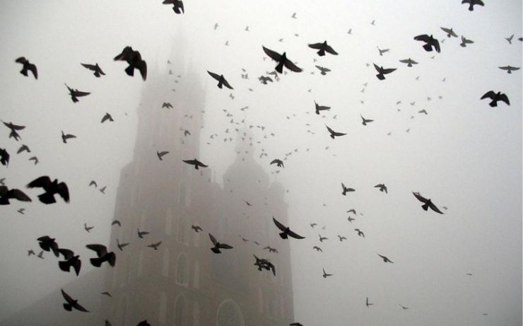 Archillect ID 394486