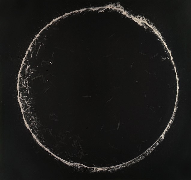 Archillect ID 394500