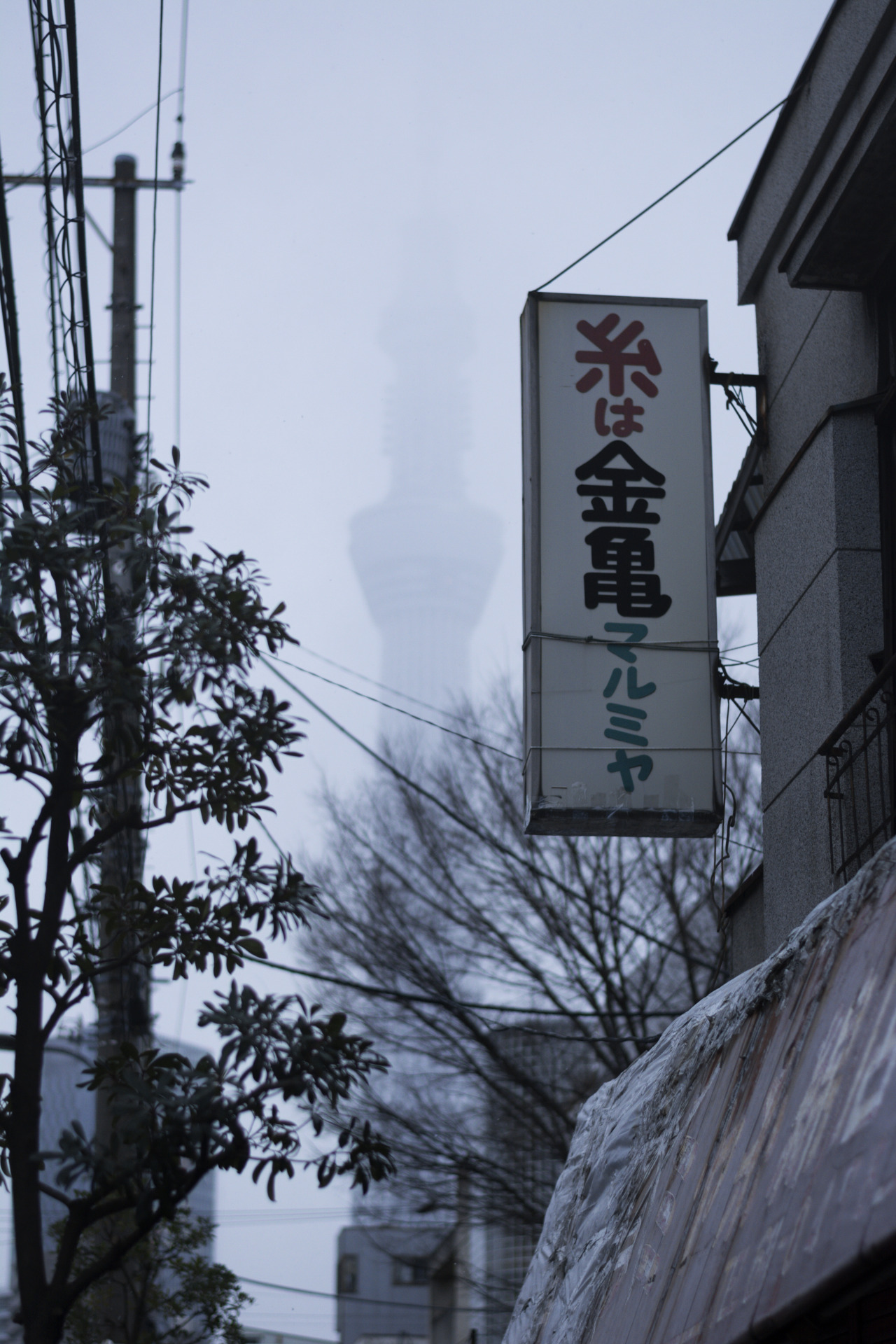 Archillect ID 394501