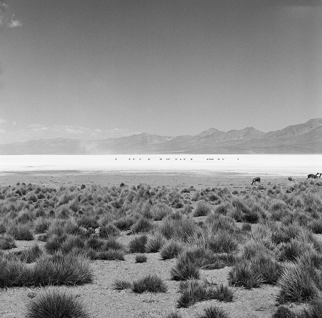 Archillect ID 394507