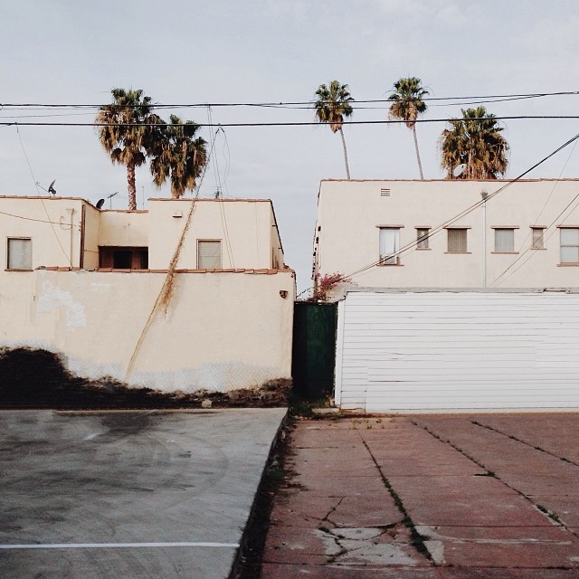 Archillect ID 394530