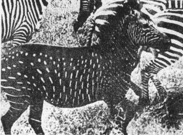 Archillect ID 394594