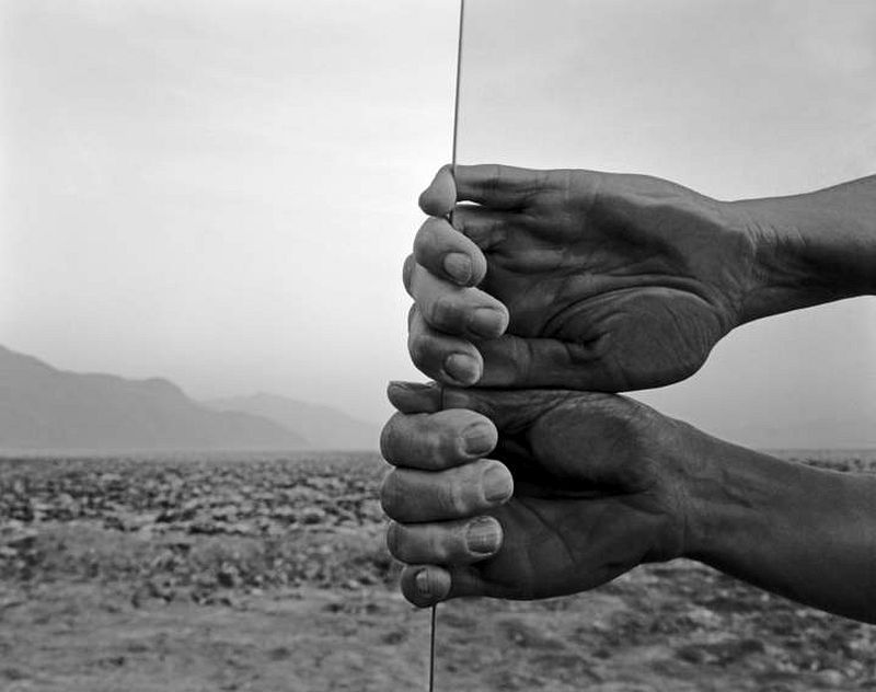 Archillect ID 394596