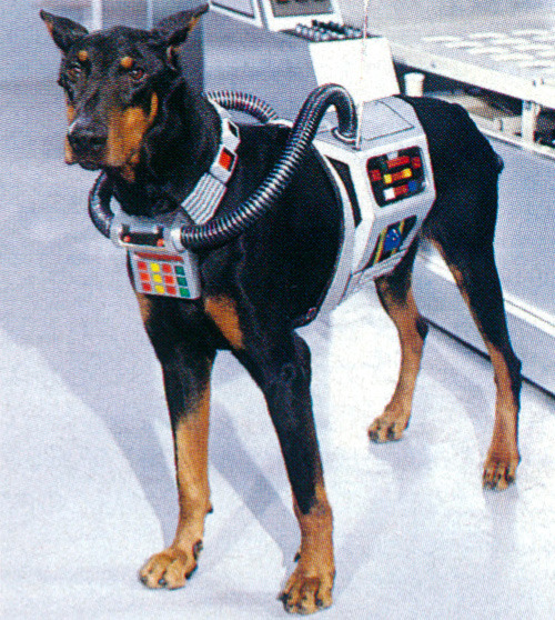 Archillect ID 394597