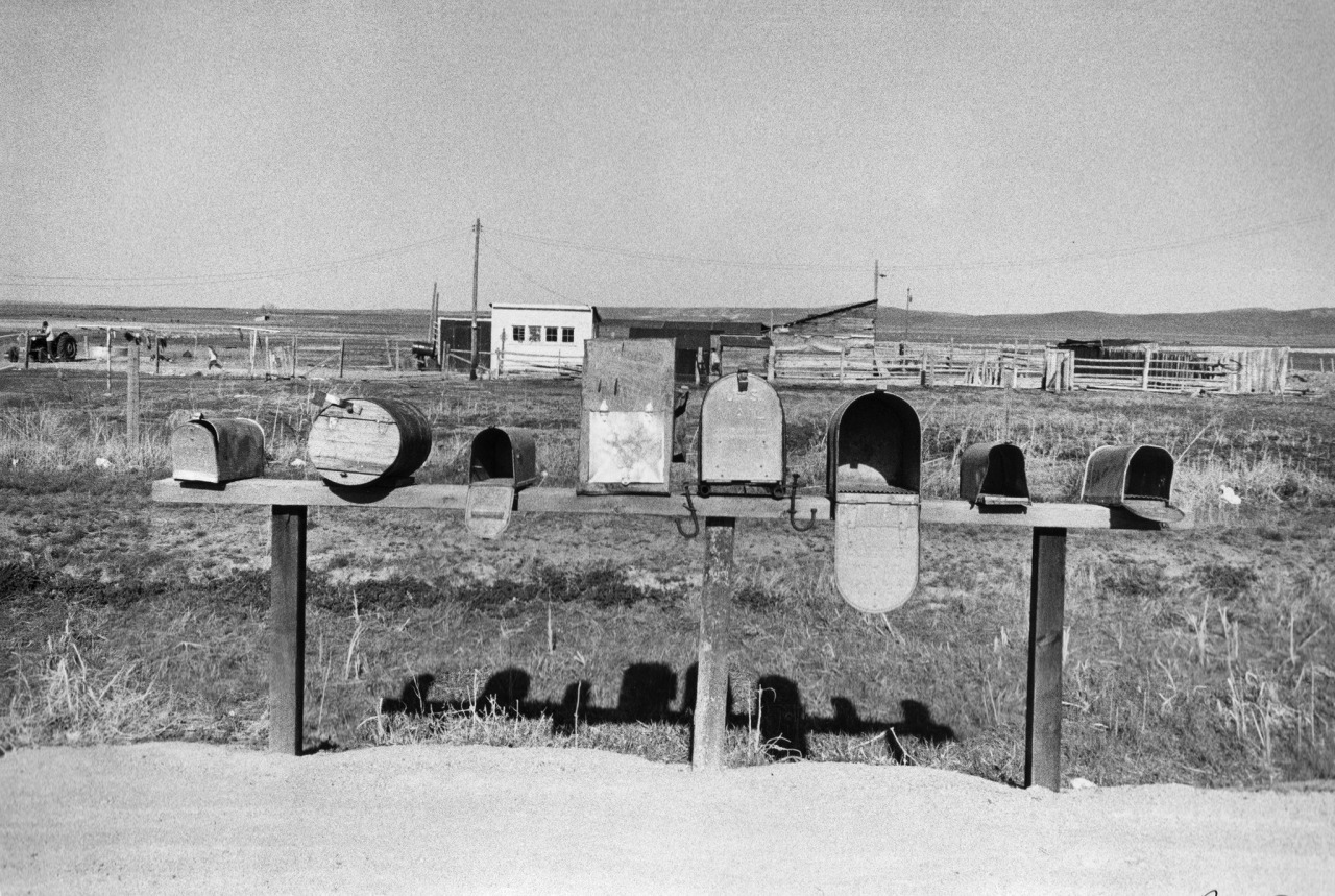 Archillect ID 394657