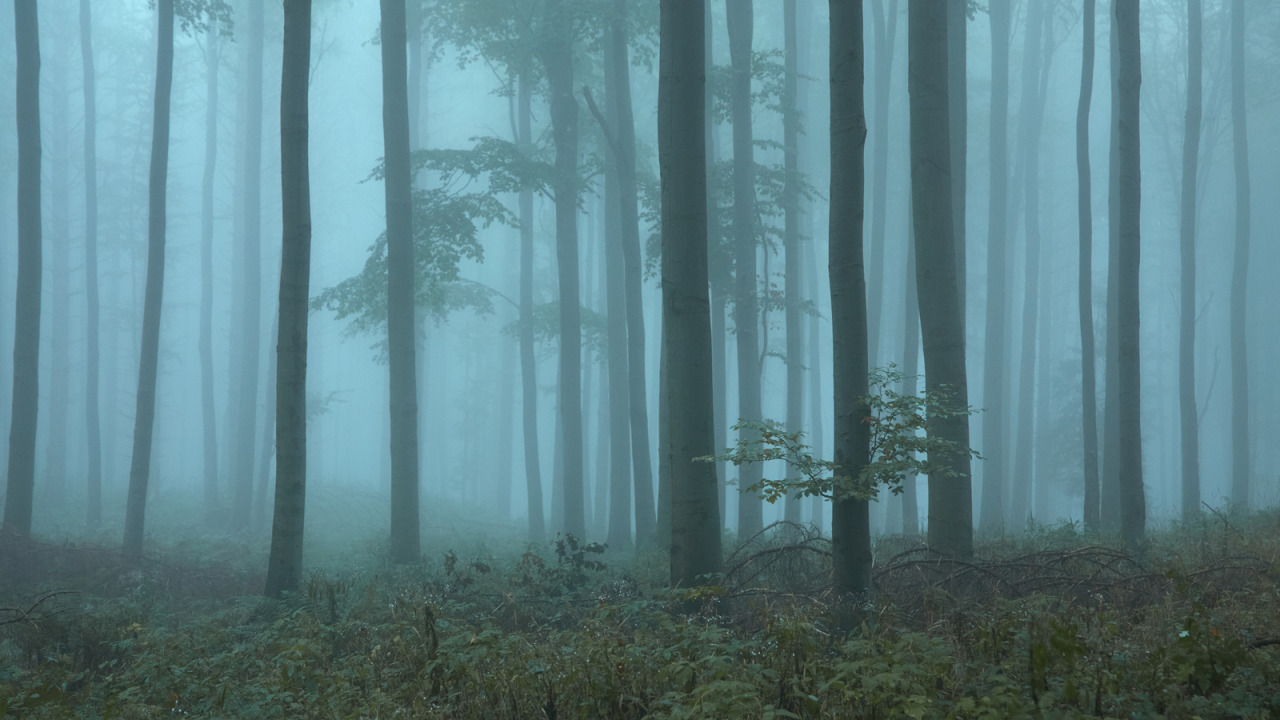 Archillect ID 394745