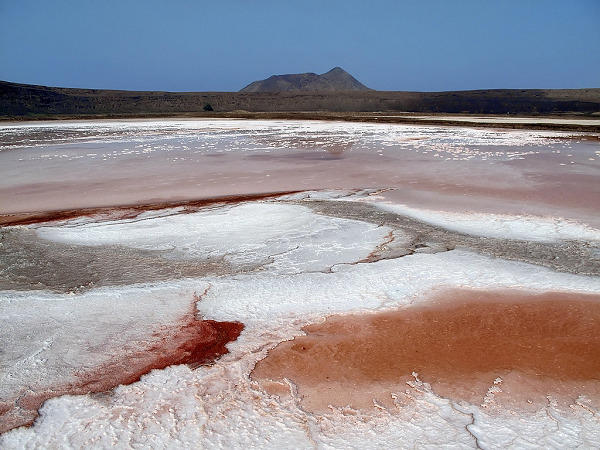 Archillect ID 394771