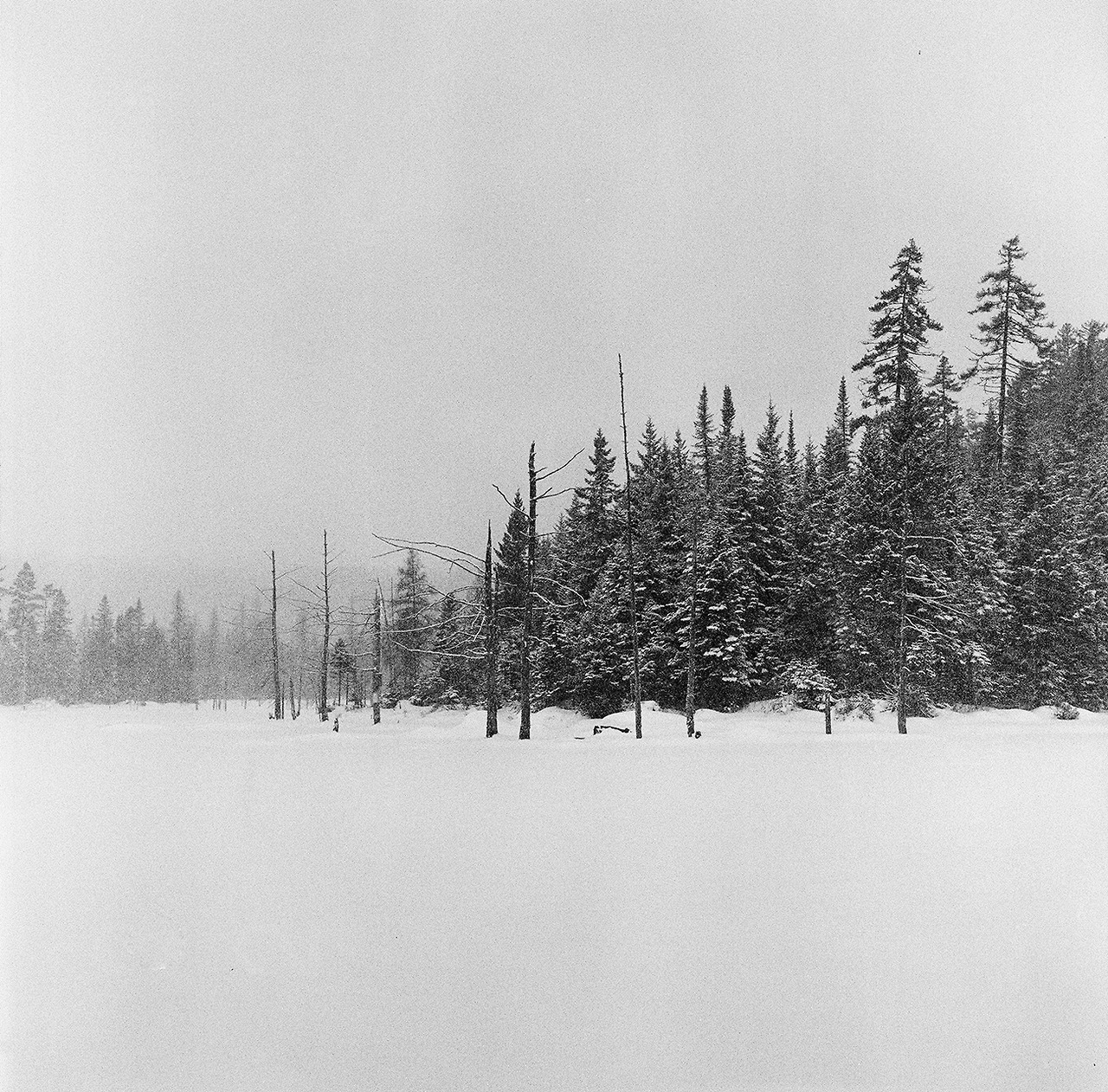 Archillect ID 394775