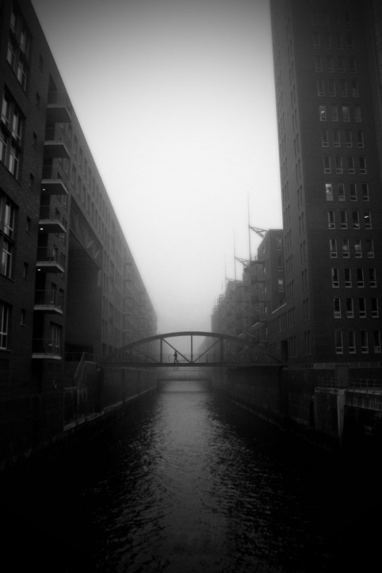 Archillect ID 394798