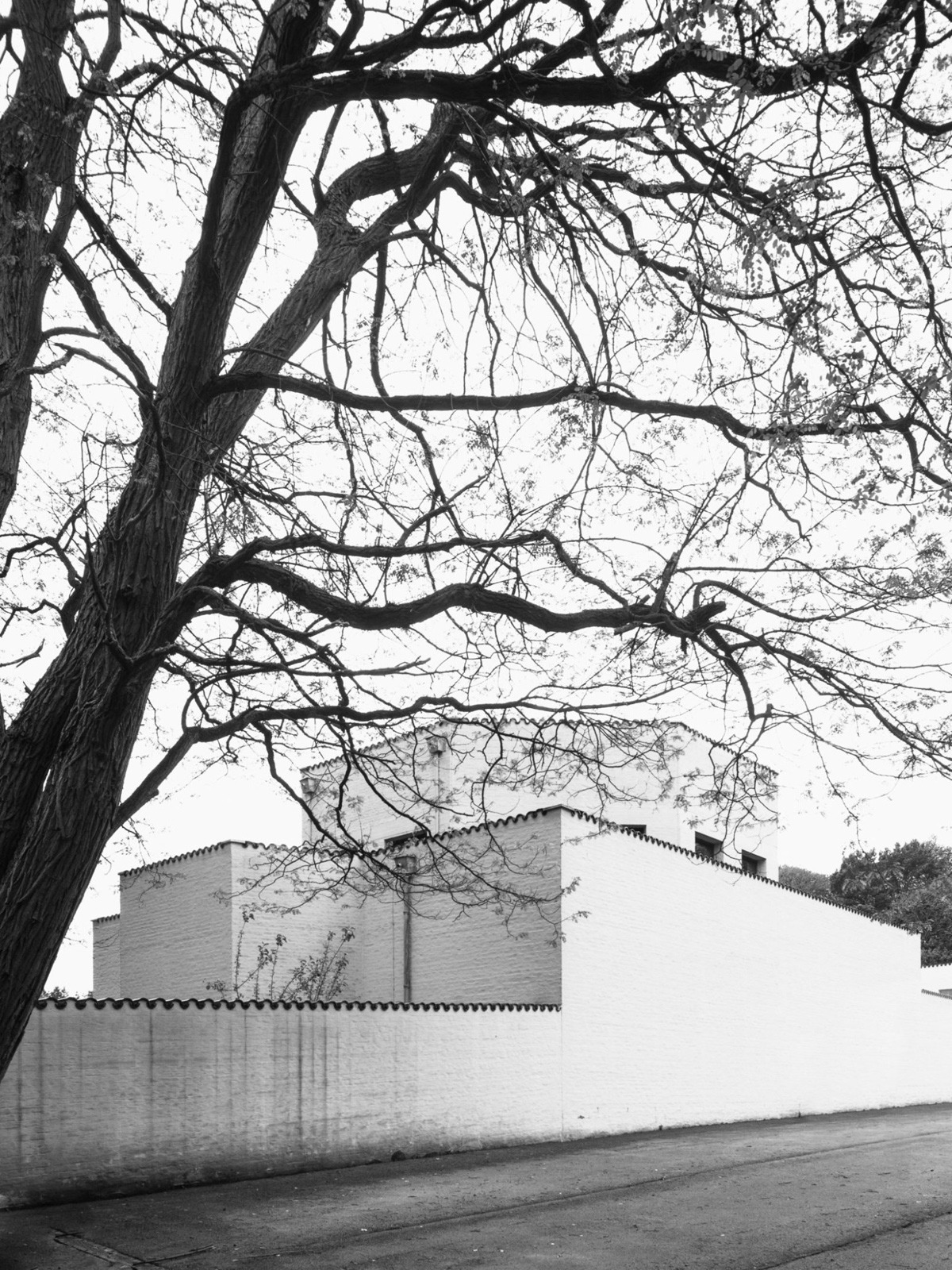 Archillect ID 394803