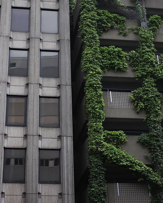 Archillect ID 394822