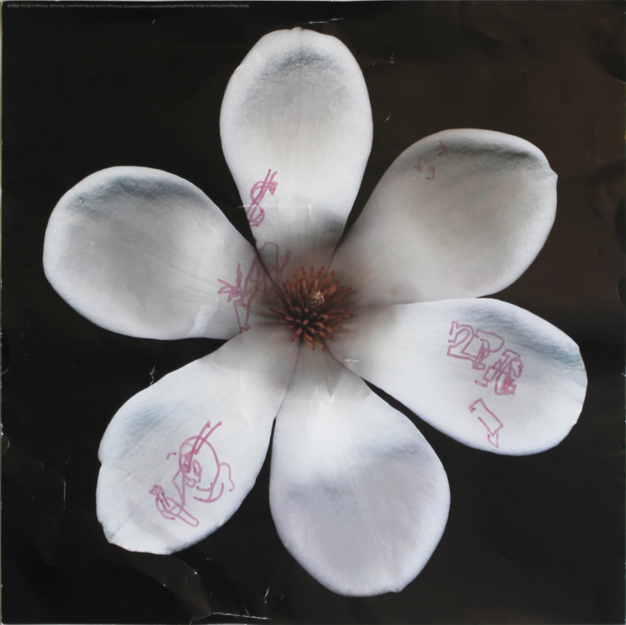 Archillect ID 394830