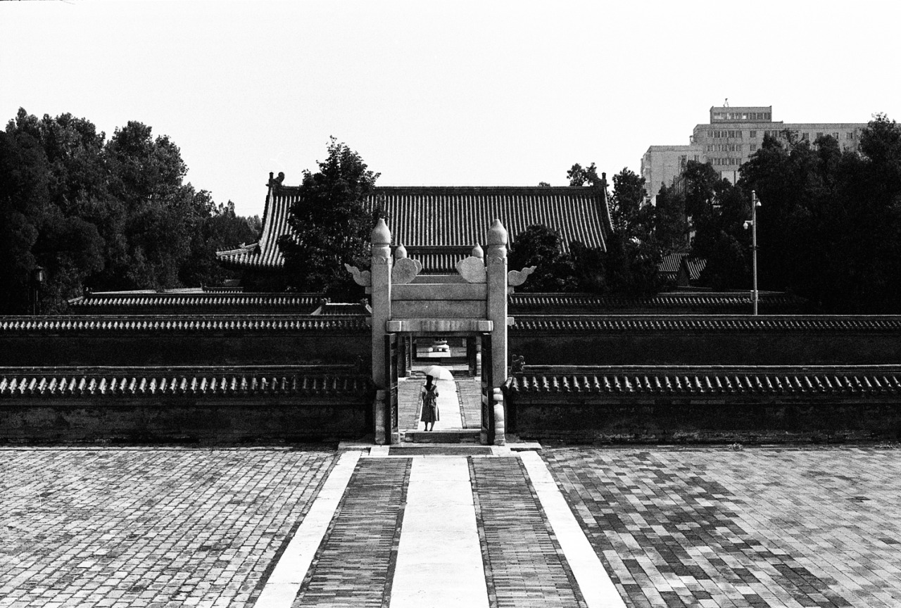 Archillect ID 394838