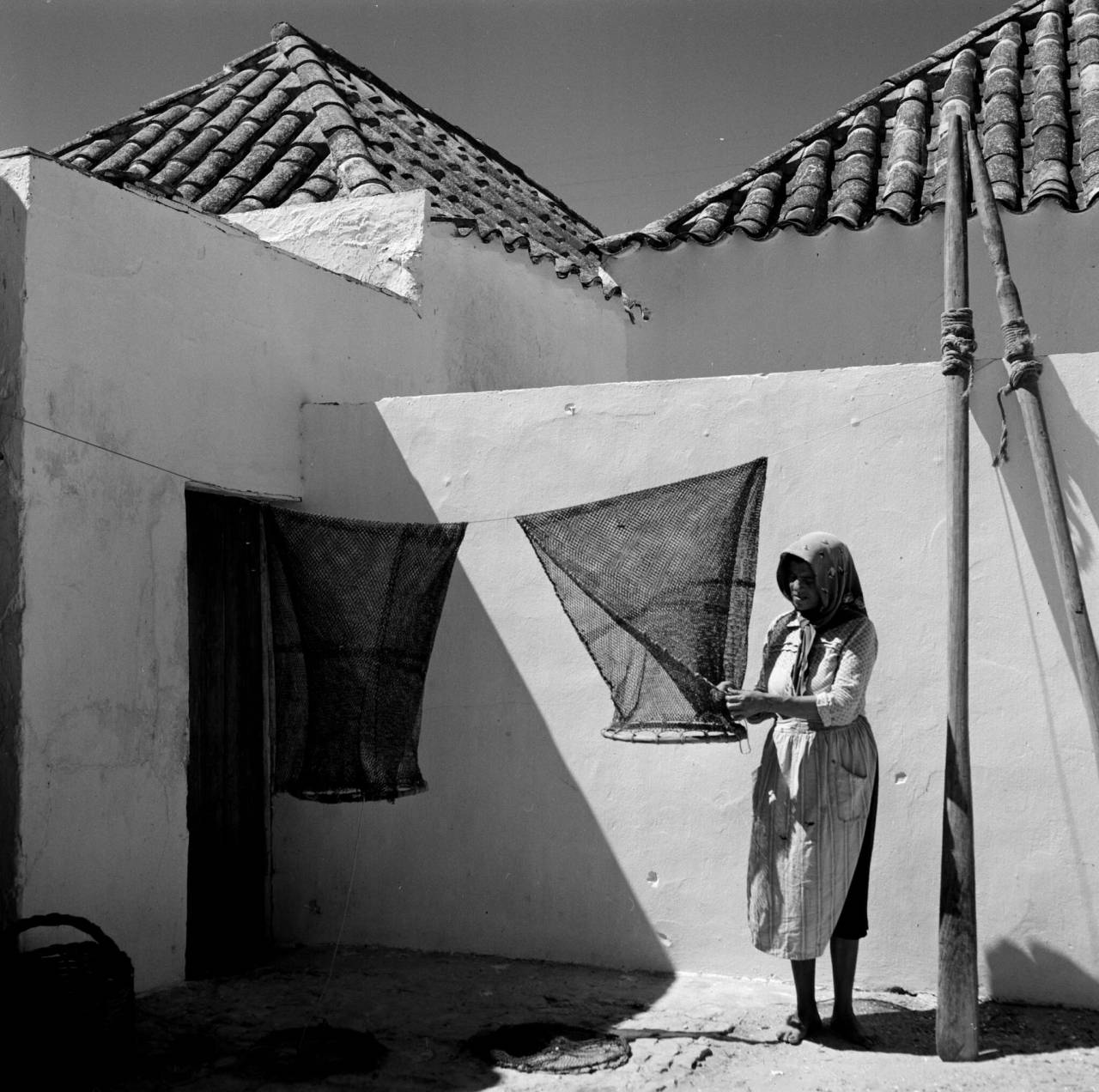 Archillect ID 394894