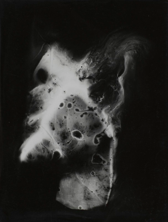 Archillect ID 394934