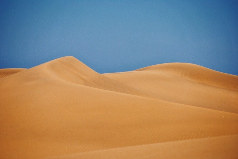 Archillect ID 394992