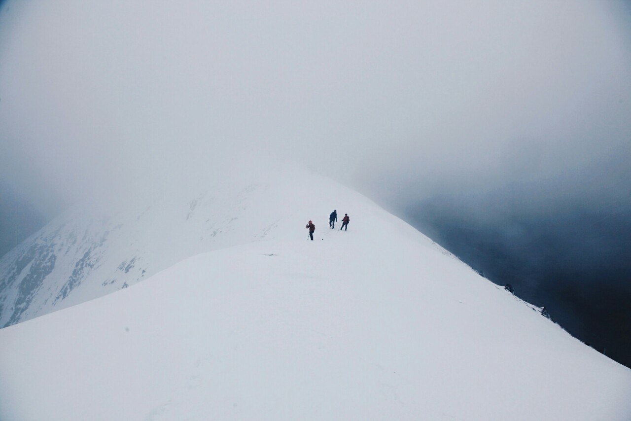 Archillect ID 395057