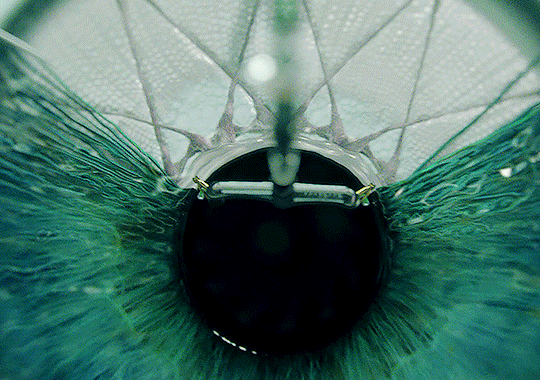 Archillect ID 395098