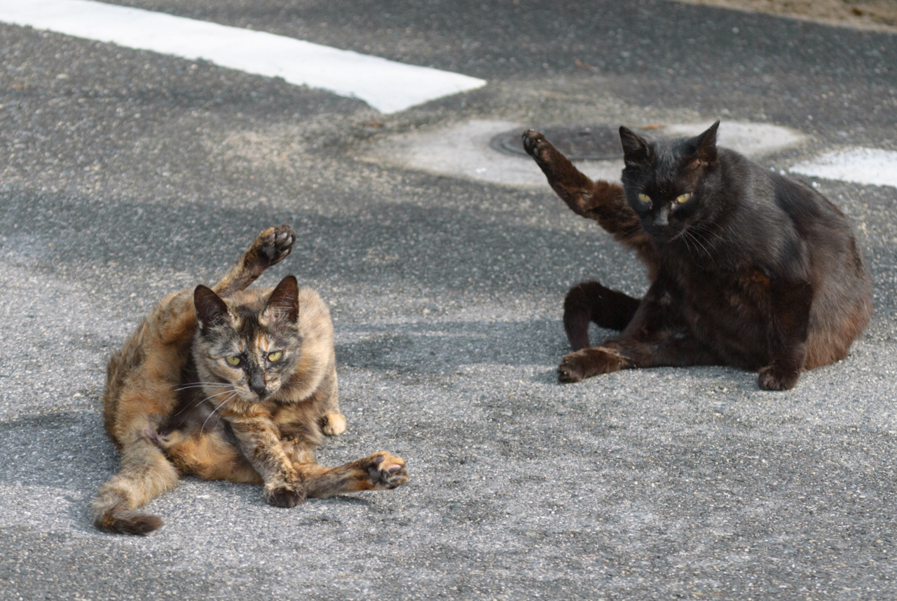 Archillect ID 395123