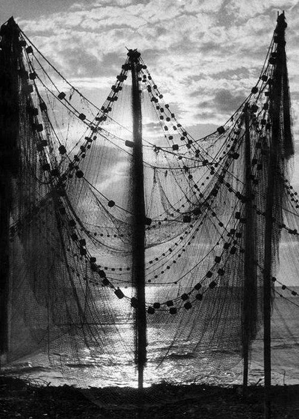 Archillect ID 395124