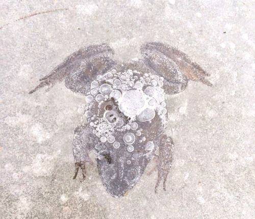 Archillect ID 395144