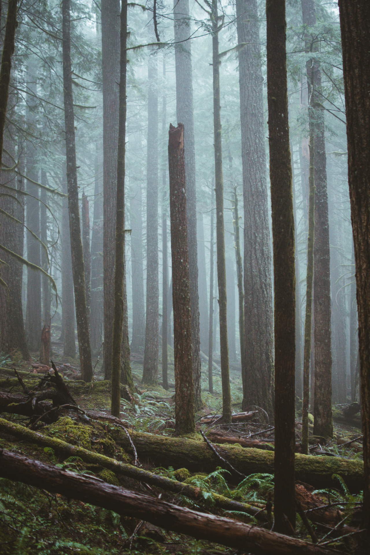 Archillect ID 395149