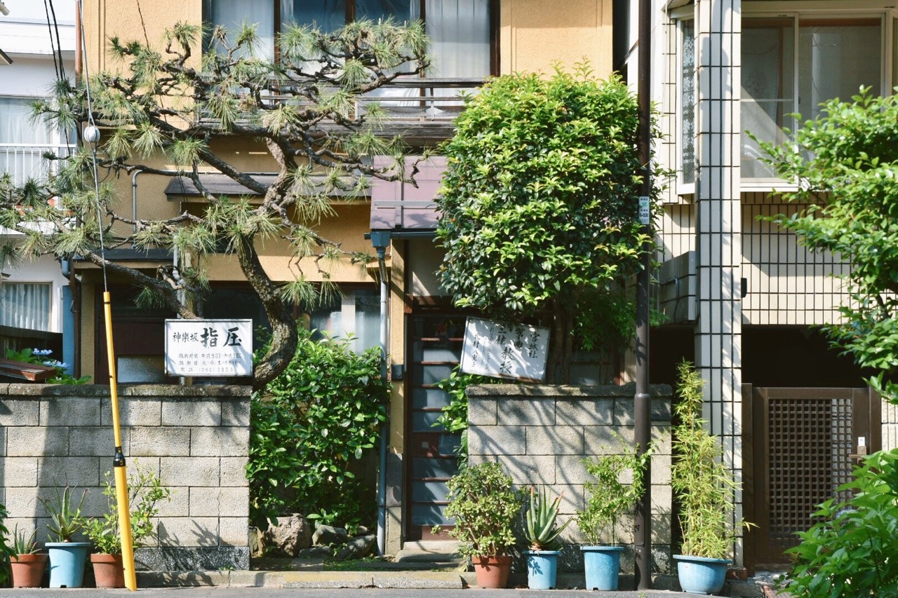 Archillect ID 395177