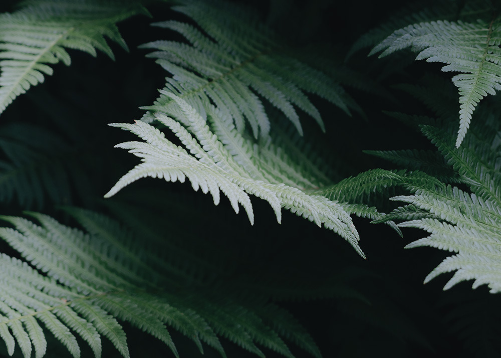 Archillect ID 395237