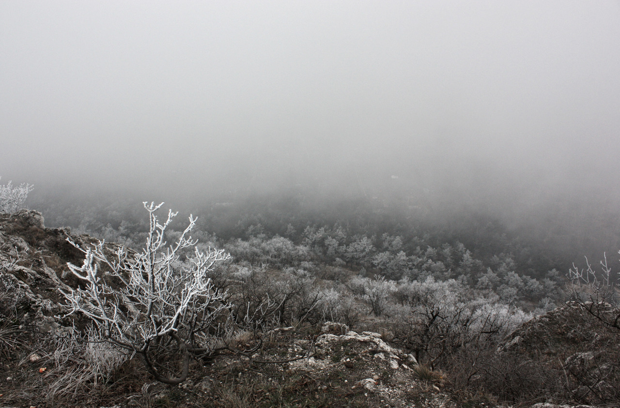 Archillect ID 395247