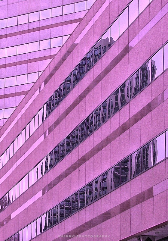 Archillect ID 395284