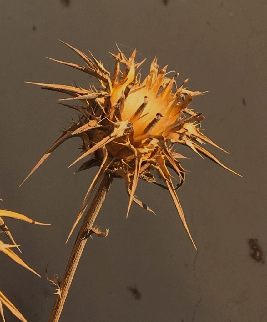 Archillect ID 395304