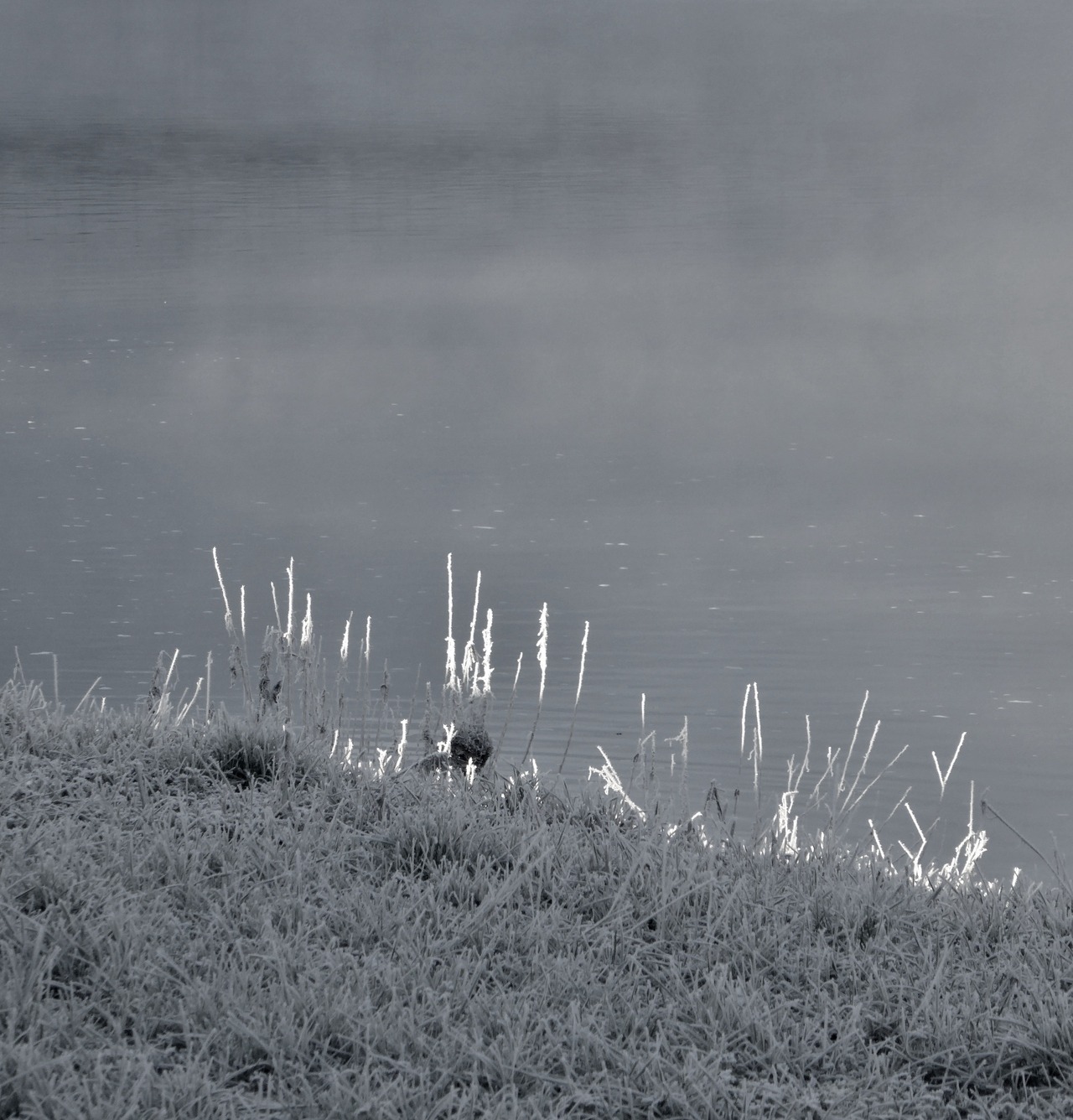 Archillect ID 395309