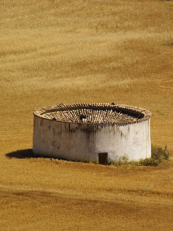 Archillect ID 395327